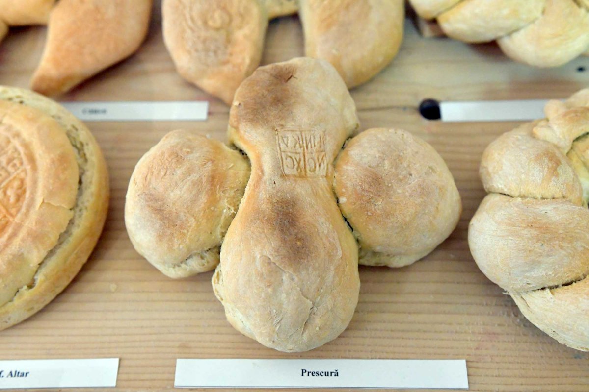 Comori ialomițene de tradiții, artă și istorie 130933