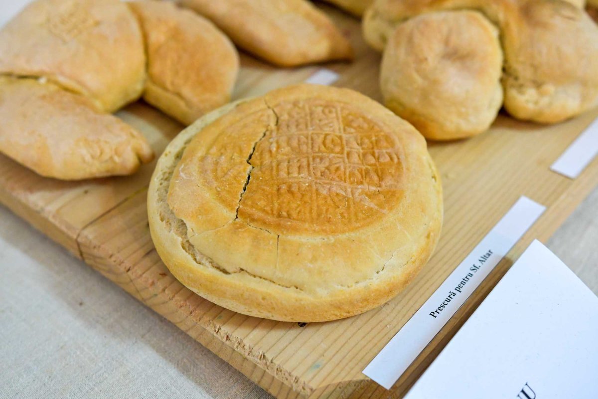 Comori ialomițene de tradiții, artă și istorie 130934