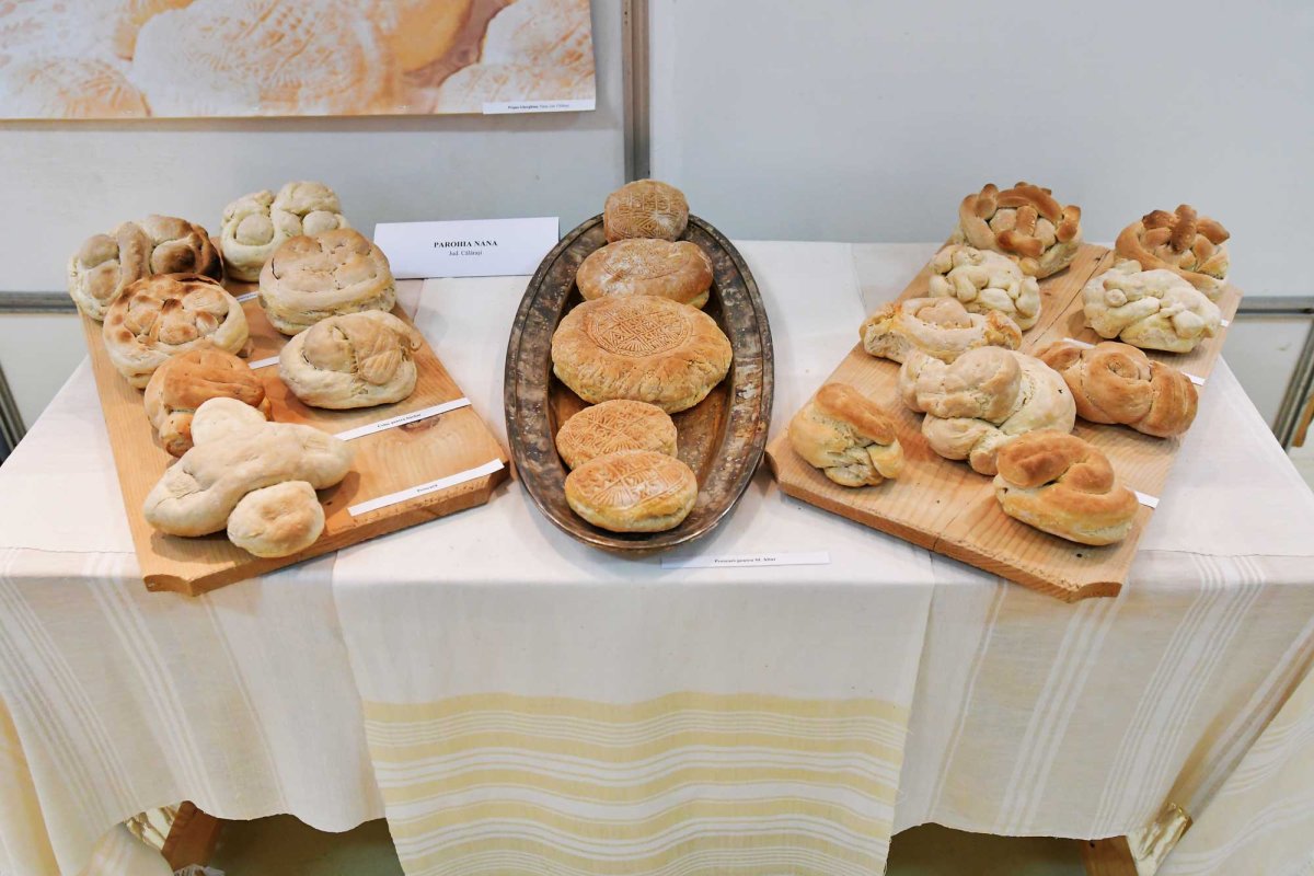 Comori ialomițene de tradiții, artă și istorie 130940