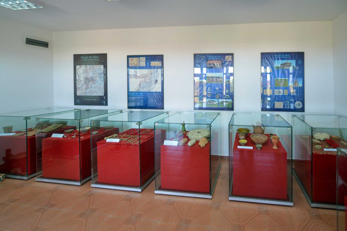 Comori ialomițene de tradiții, artă și istorie 130957