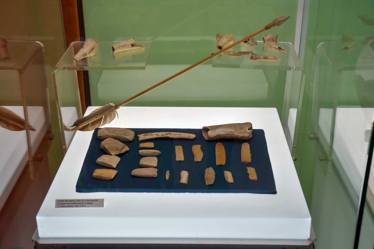 Comori ialomițene de tradiții, artă și istorie 130962