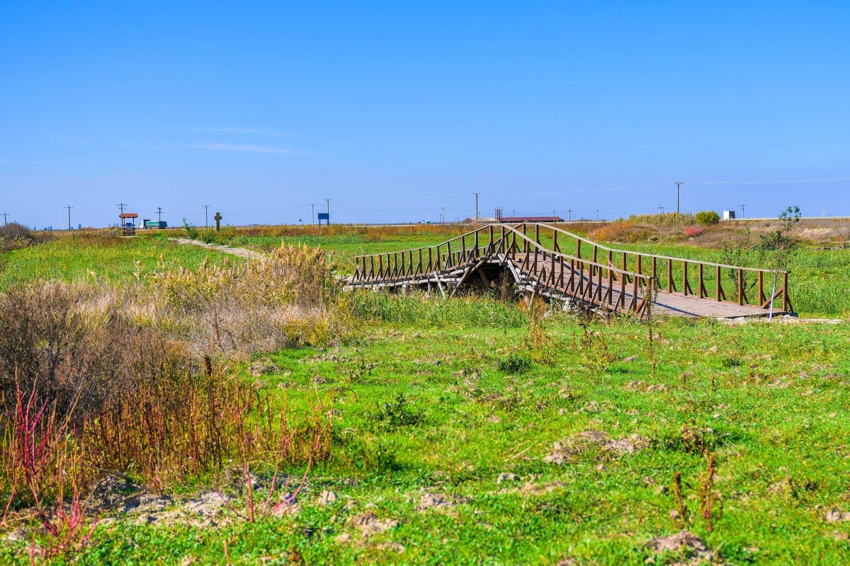 Comori ialomițene de tradiții, artă și istorie 130972