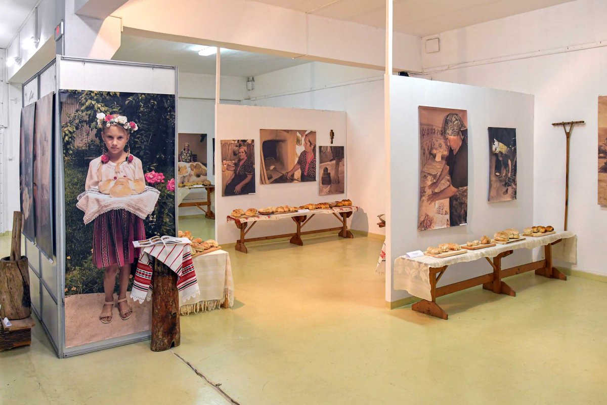 Comori ialomițene de tradiții, artă și istorie 130976