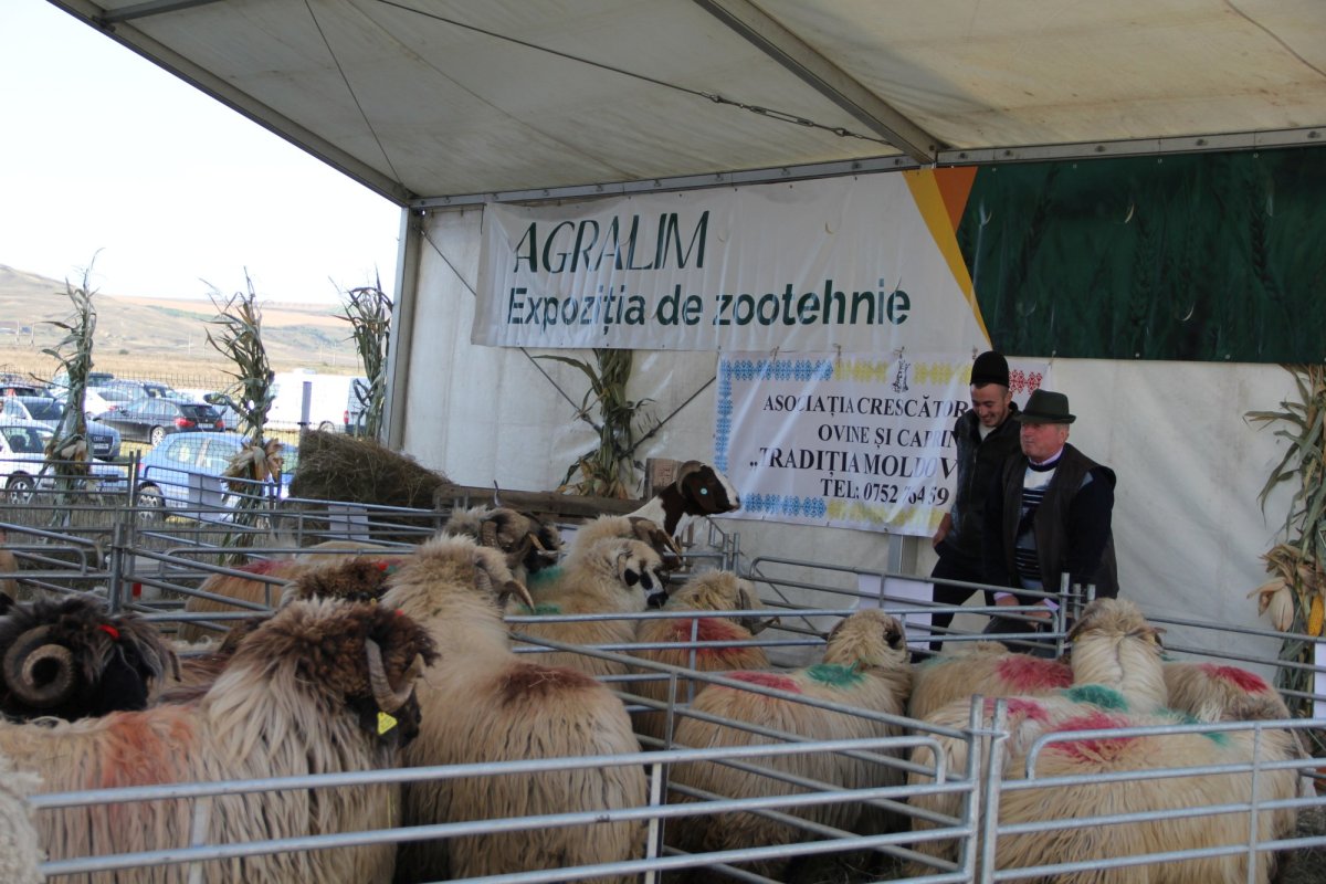 Micii fermieri încep să descopere avantajele asocierii 131124