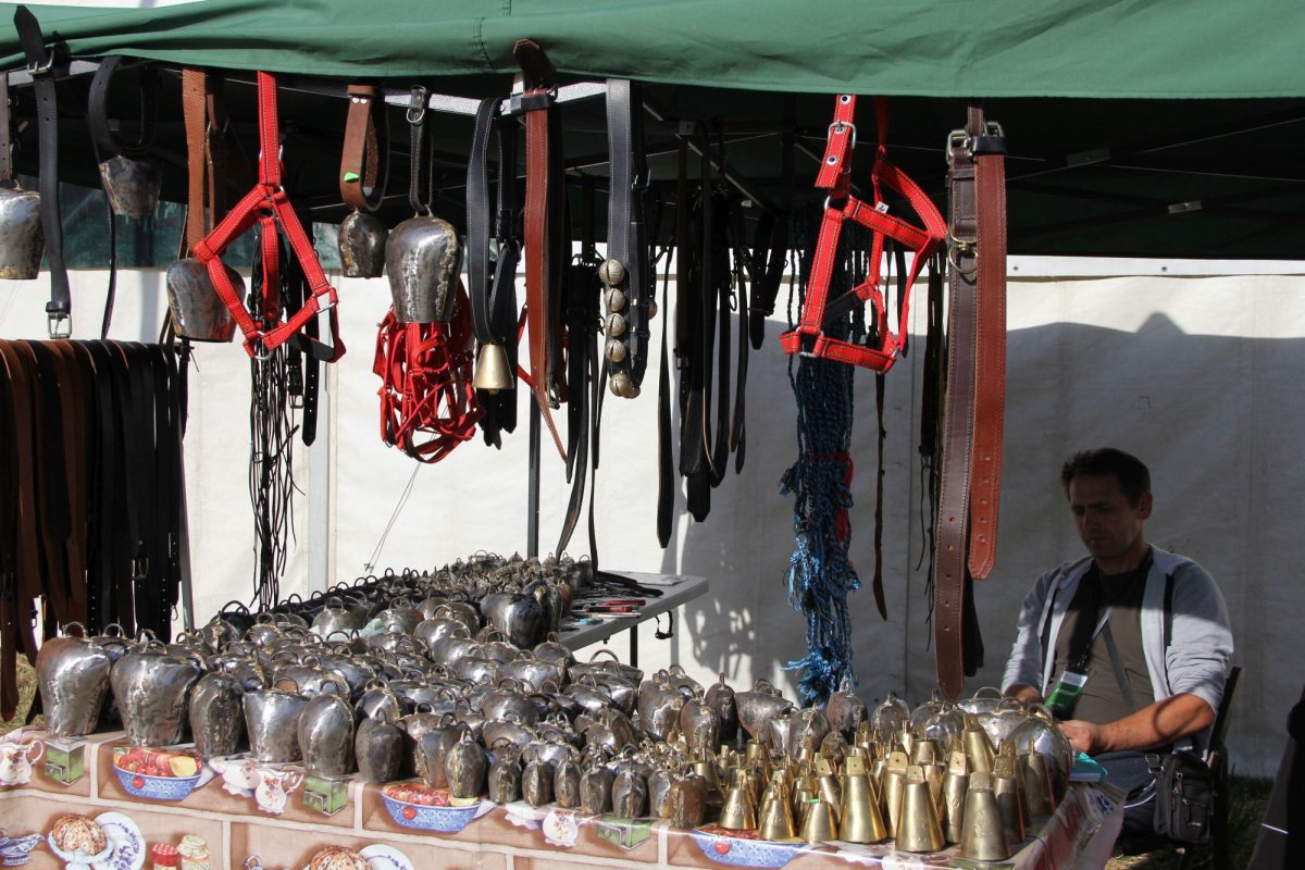 Micii fermieri încep să descopere avantajele asocierii 131125