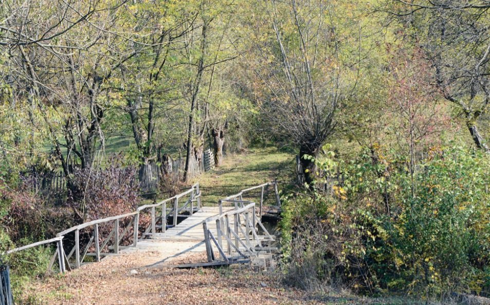 Drumuri prin Brăduleț, Brădet și Galeș 131820