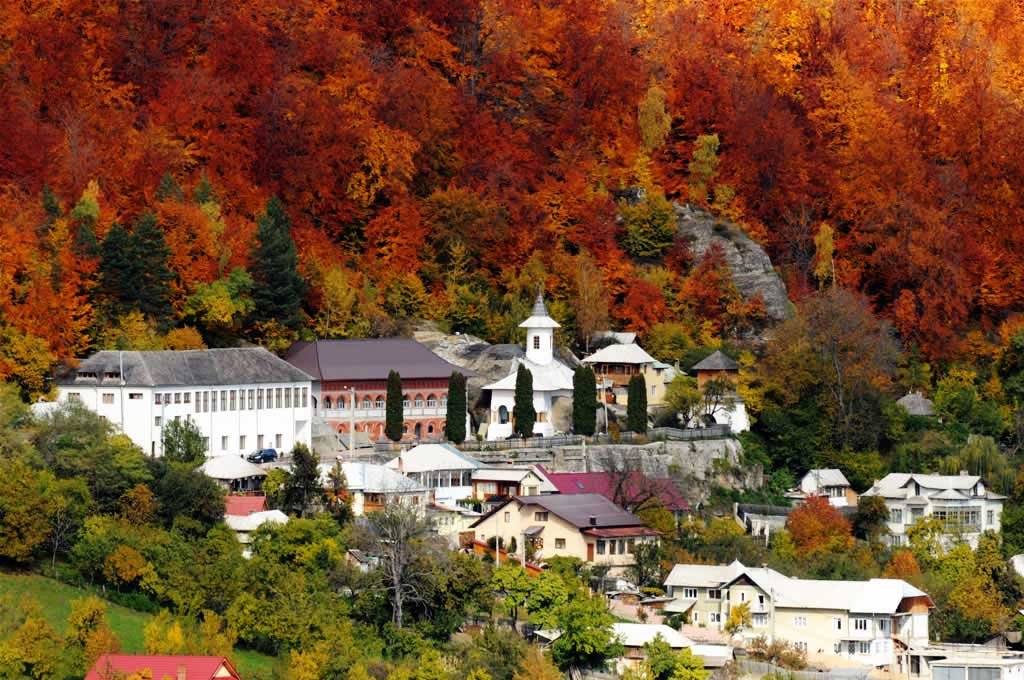 Simpozion dedicat clericilor români din Războiul de Întregire 132835