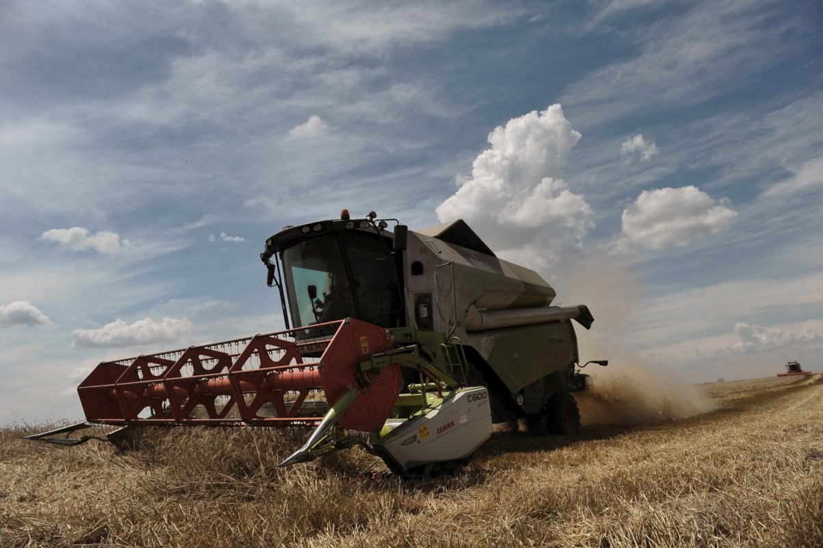 Program pentru tinerii antreprenori în agricultură 132932
