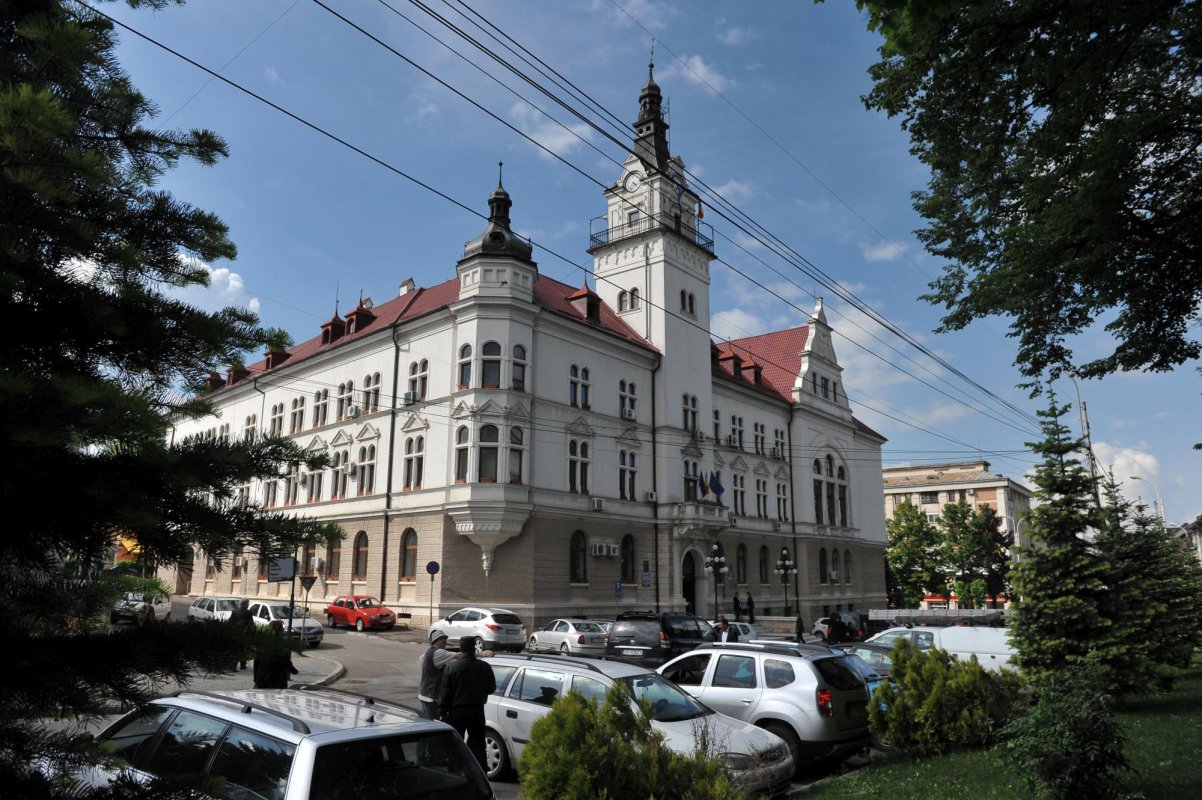 Proiecte cetățenești la Suceava 133071