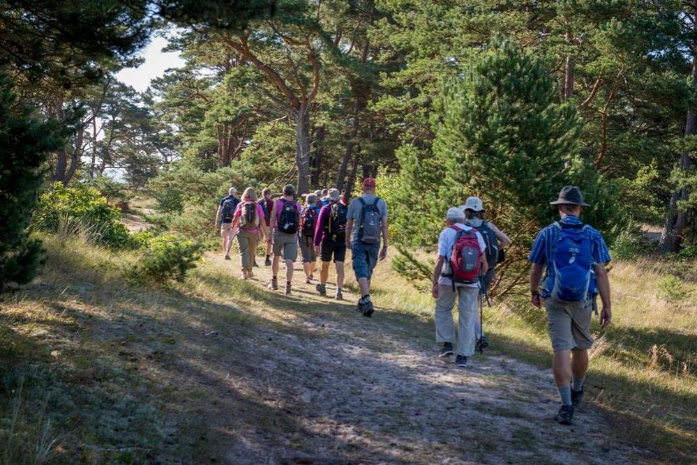 Sibiu va fi Capitală Europeană a Drumeţiei 133124