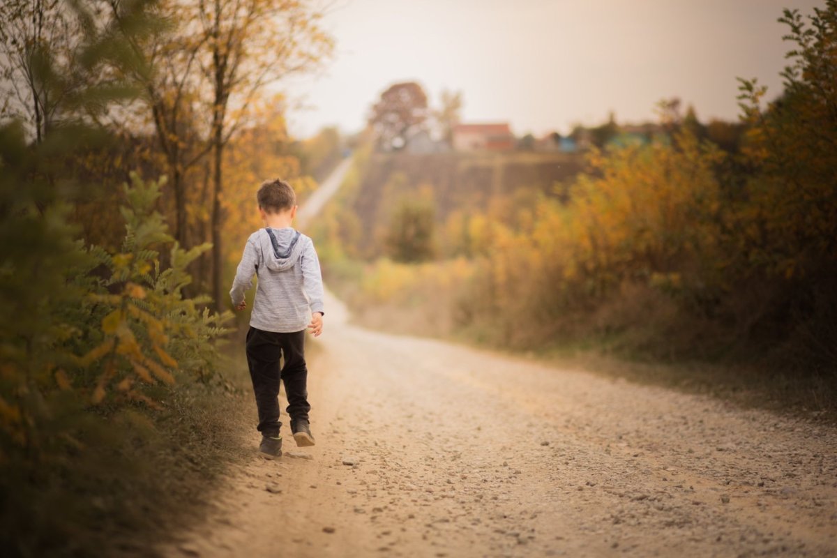 Educația în România, mai mult sau mai puțin gratuită 133490