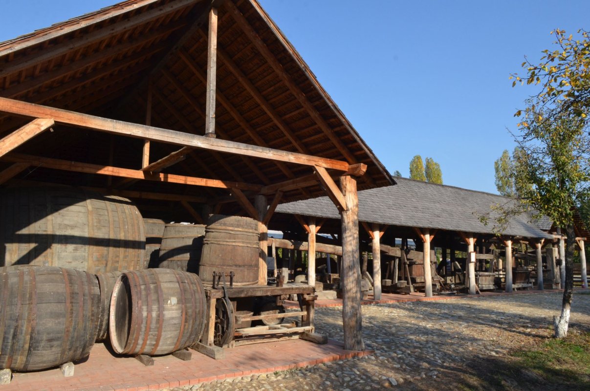 Istorie, etnografie și atracții pentru copii la Muzeul Golești 133434