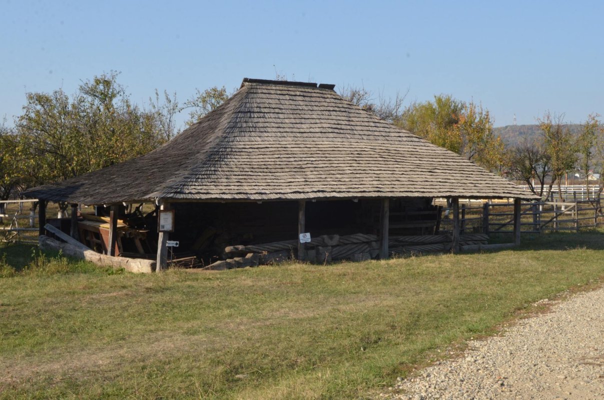 Istorie, etnografie și atracții pentru copii la Muzeul Golești 133440