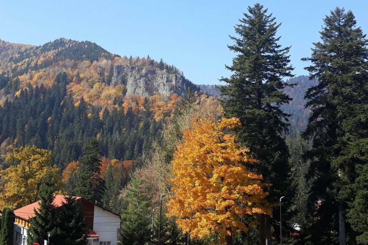 Săptămânile ecoturistice ale României” 133477