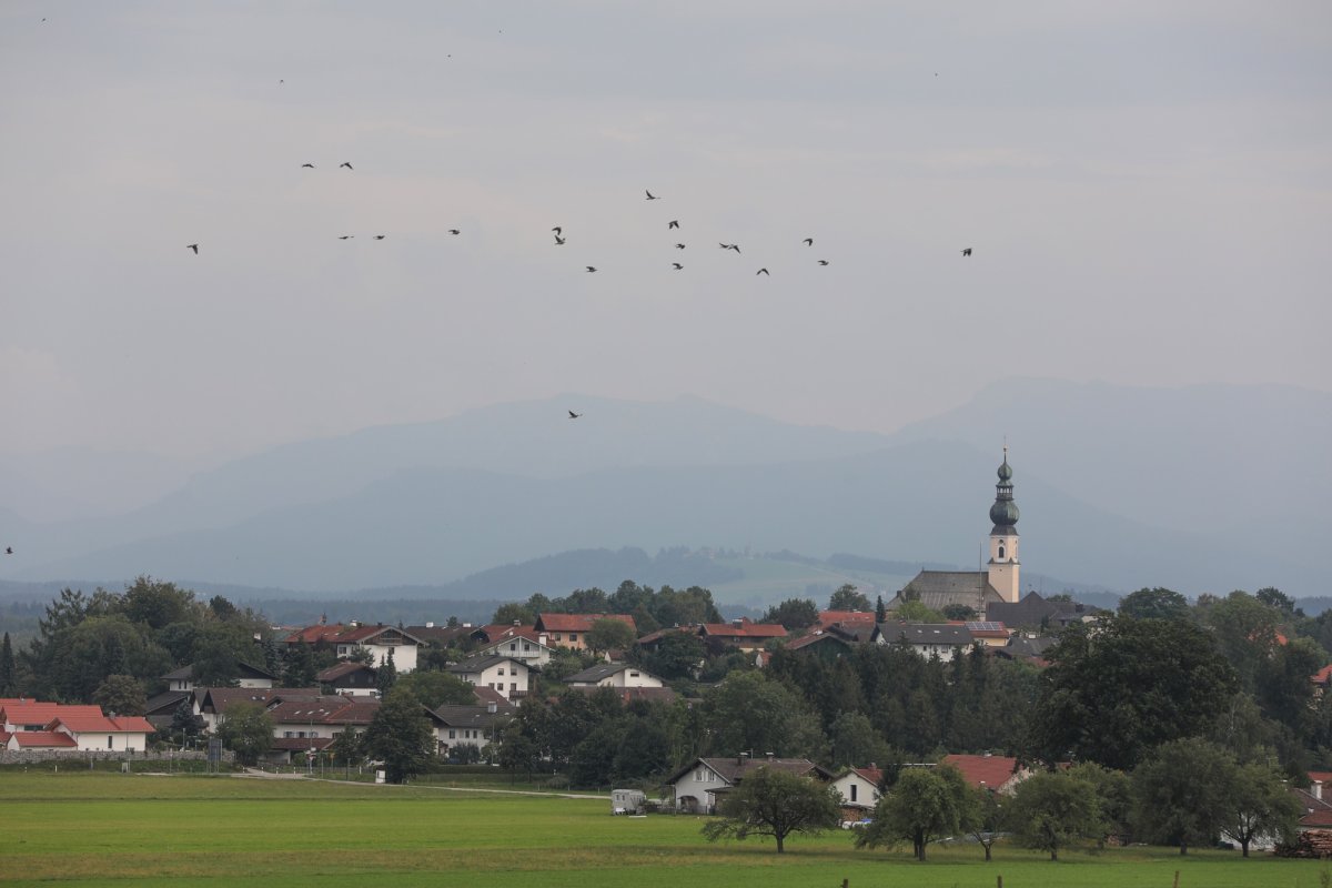 Regăsirea bucuriei de a fi român în Europa Centrală 133890