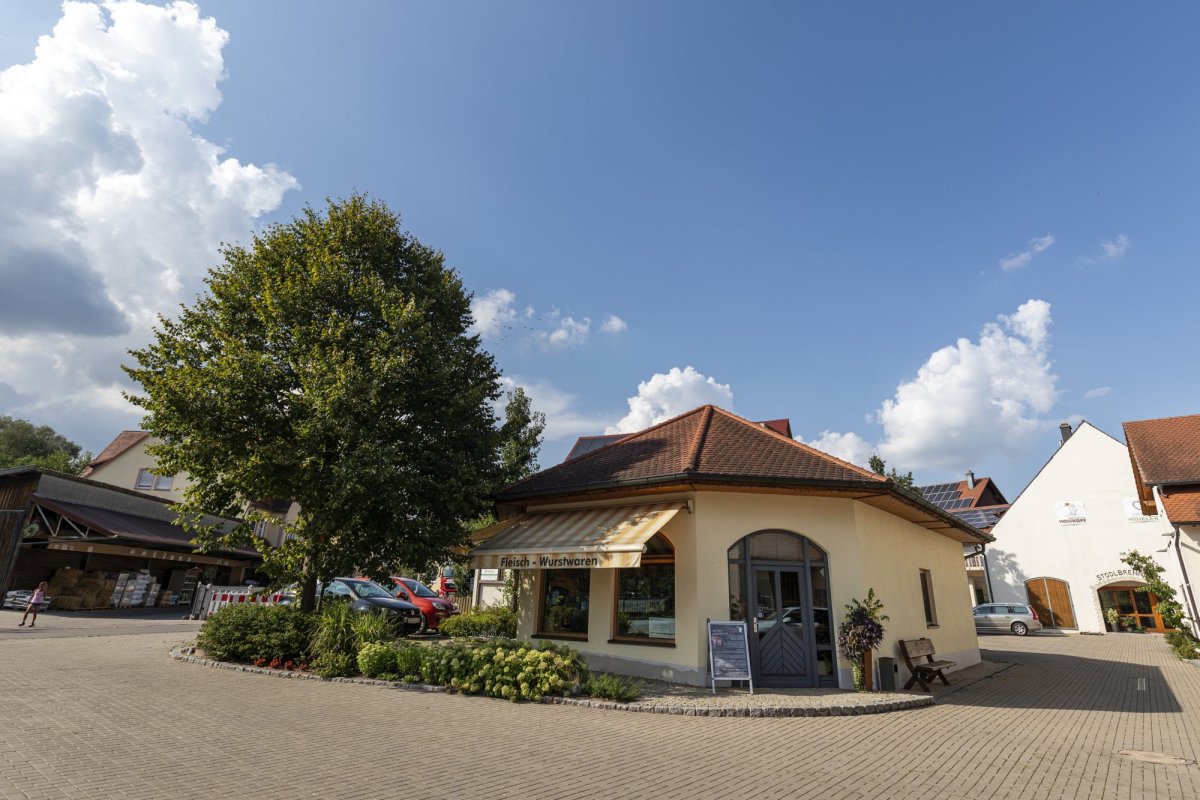 Regăsirea bucuriei de a fi român în Europa Centrală 133892