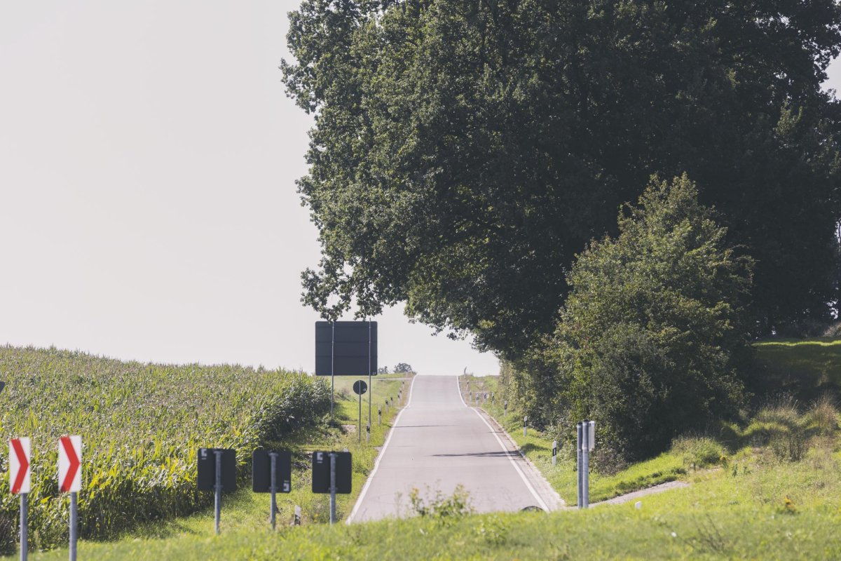 Regăsirea bucuriei de a fi român în Europa Centrală 133893