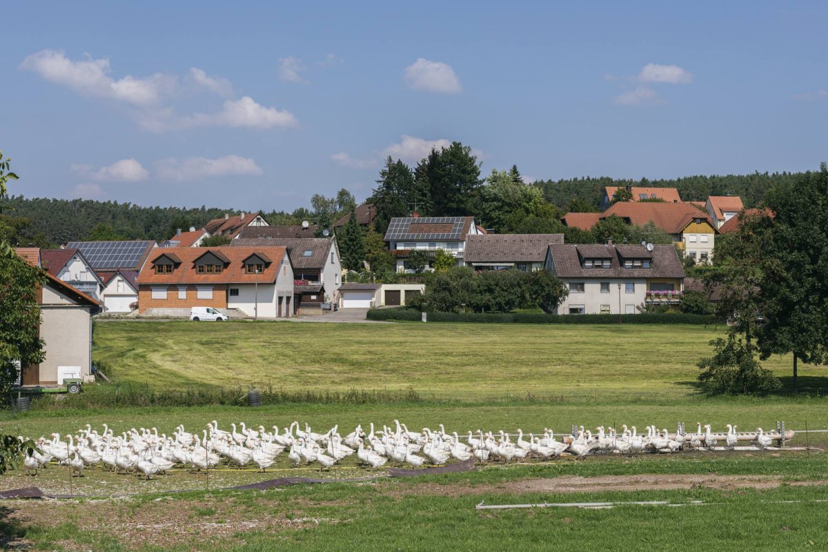 Regăsirea bucuriei de a fi român în Europa Centrală 133894