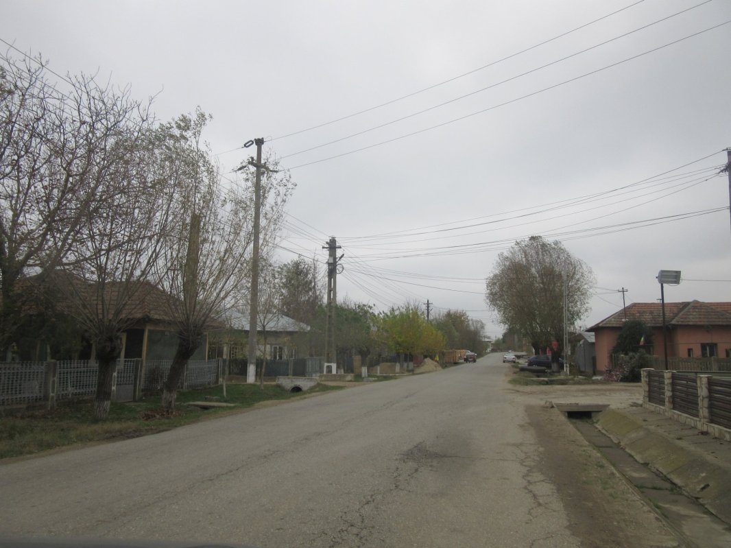 „Să nu faci degeaba umbră pământului” 134110