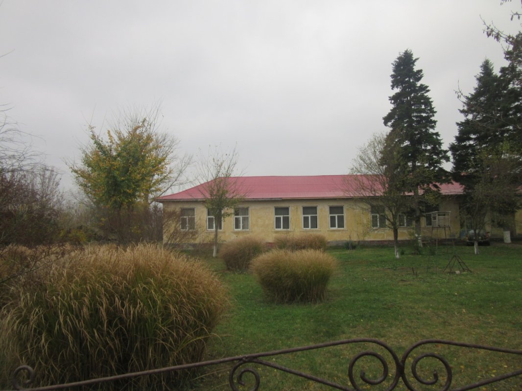 „Să nu faci degeaba umbră pământului” 134111