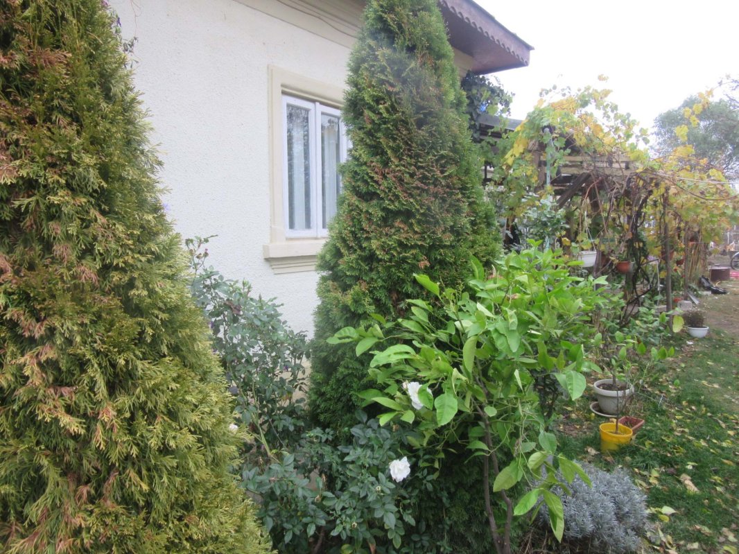 „Să nu faci degeaba umbră pământului” 134112