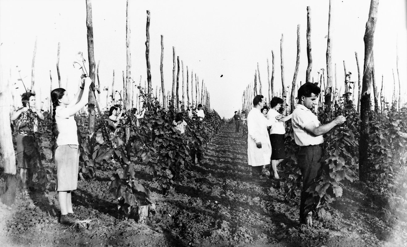 „În România, comunismul a căpătat nuanțe de doină și baladă“ 134482