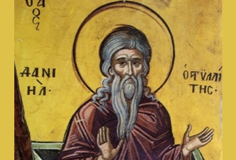 Sf. Cuv. Daniil Stâlpnicul şi Luca cel Nou 134685