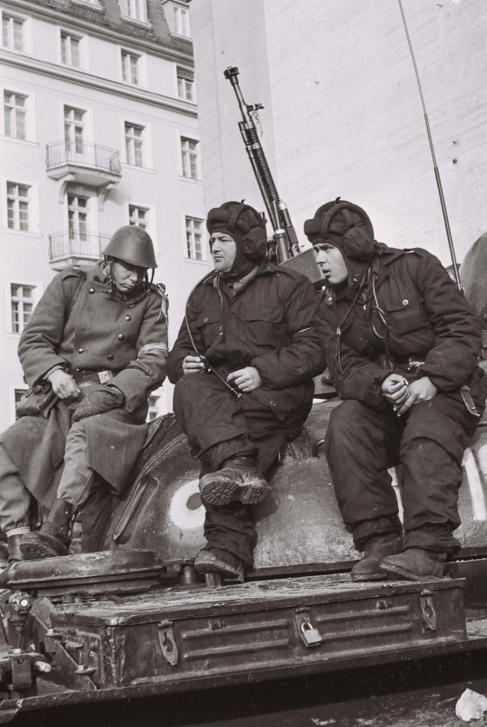 „Să luptăm pentru libertate în Piața Libertății...“ 134895