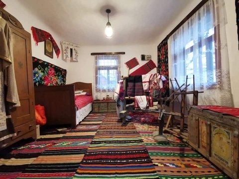 Un elev seminarist a fondat Muzeul Sătesc din Buda  135329