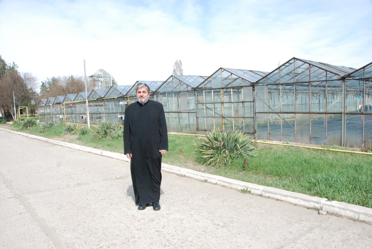 Agricultura românească, între speranțe și profunde deziluzii 135746