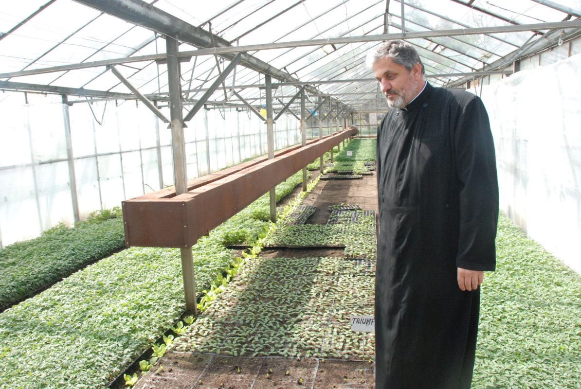 Agricultura românească, între speranțe și profunde deziluzii 135747