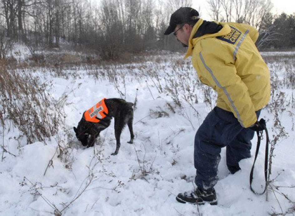 Adevărate întâmplări minunate de Crăciun 136190