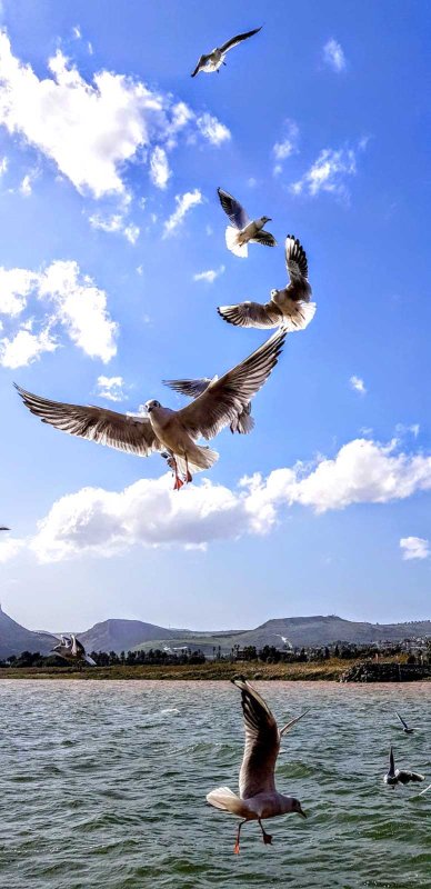 Amintirea unui pelerinaj de Bobotează în Țara Sfântă 136434