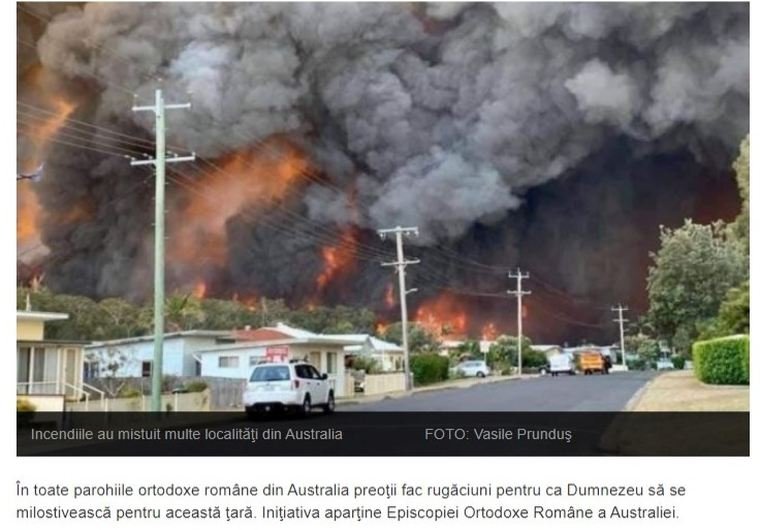 Revista presei 137026