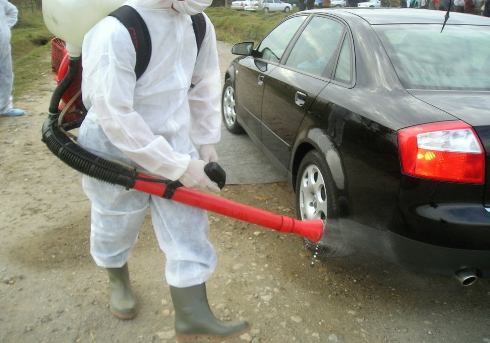 Focar de gripă aviară  în România 137203