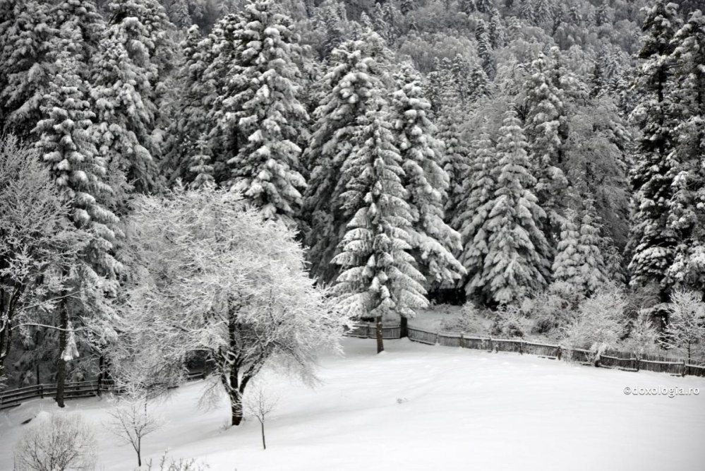 Înger în ger 137272