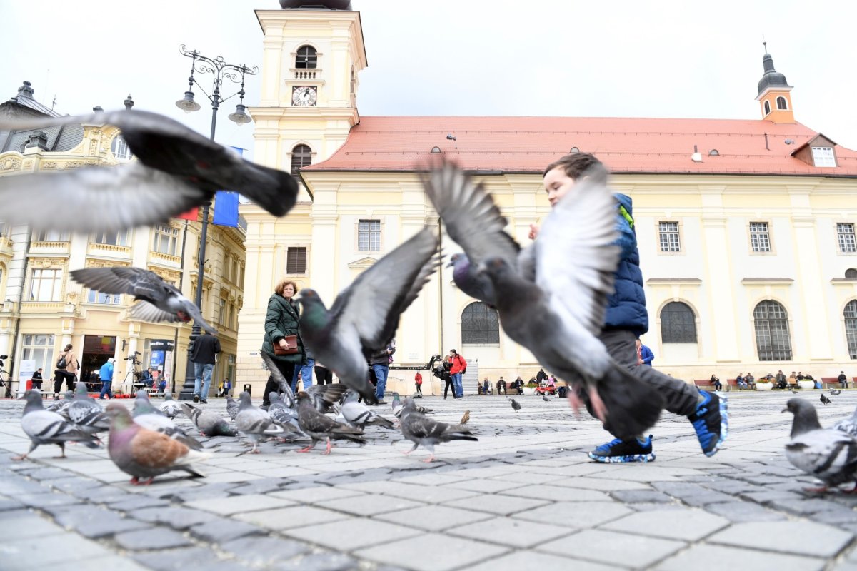 Sibiul, destinaţie europeană de top 137280