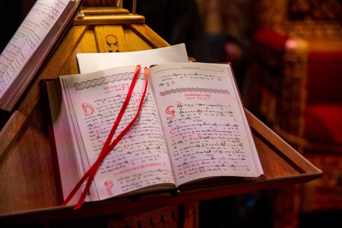 „Recunoștința reprezintă firescul demnității omului” 137438