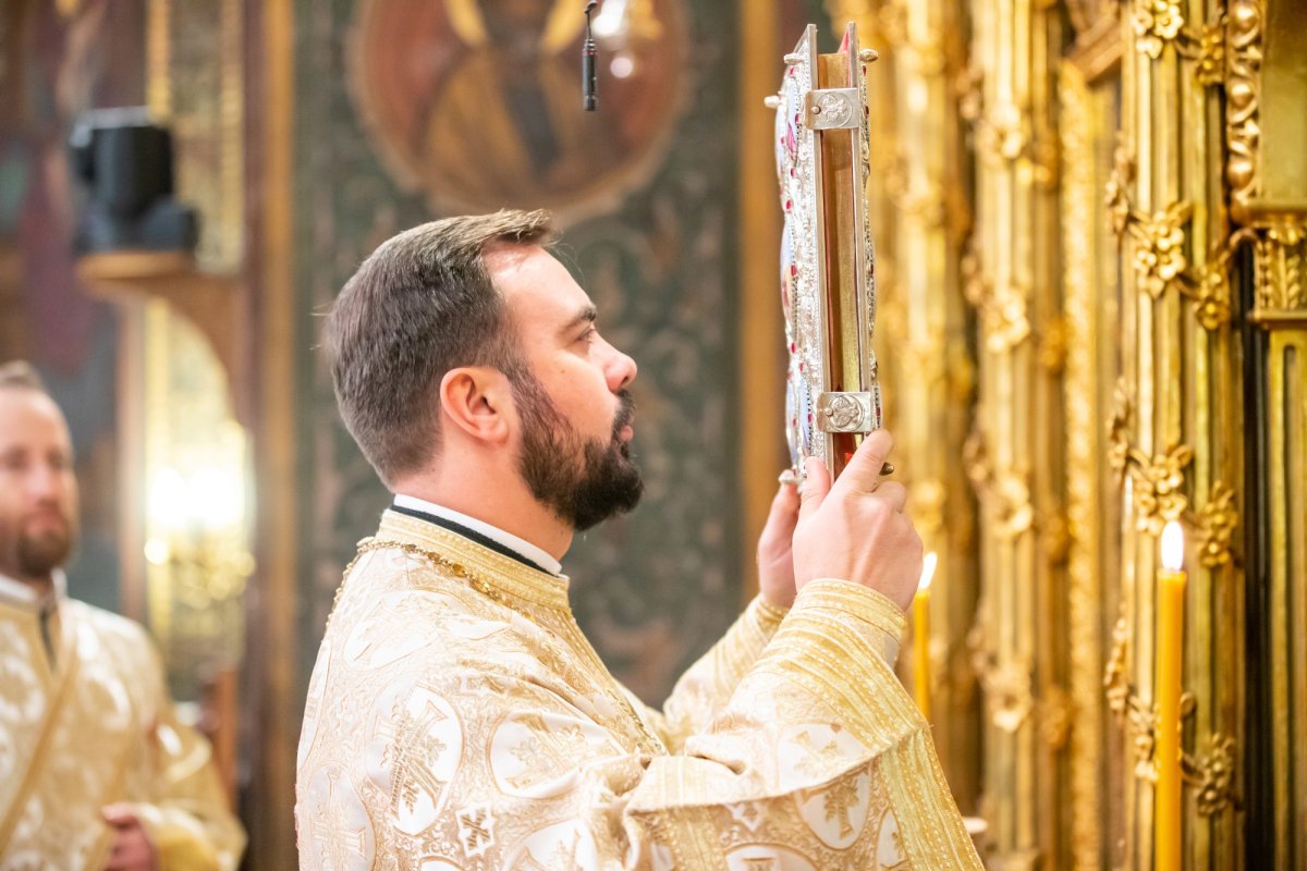 „Recunoștința reprezintă firescul demnității omului” 137454