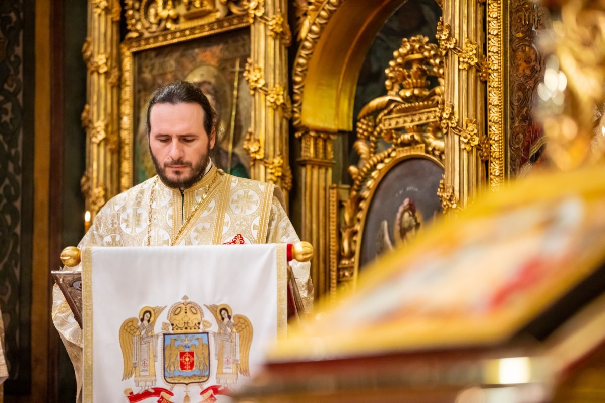 „Recunoștința reprezintă firescul demnității omului” 137463