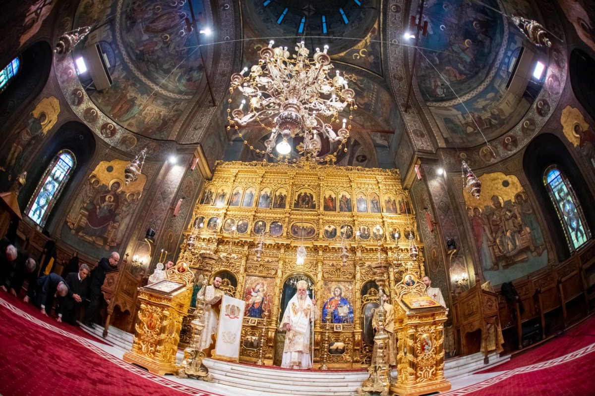 „Recunoștința reprezintă firescul demnității omului” 137464