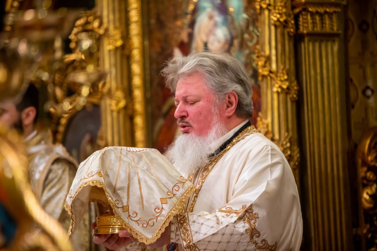 „Recunoștința reprezintă firescul demnității omului” 137474