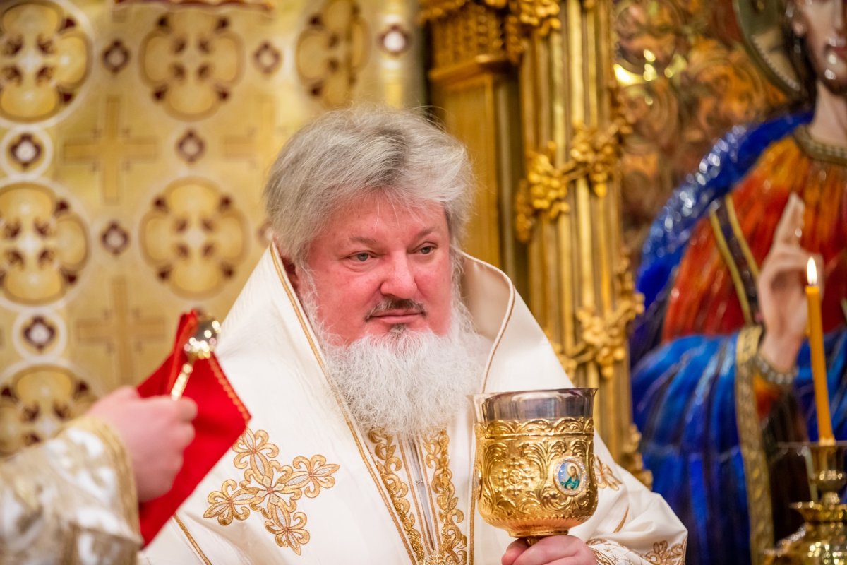 „Recunoștința reprezintă firescul demnității omului” 137478