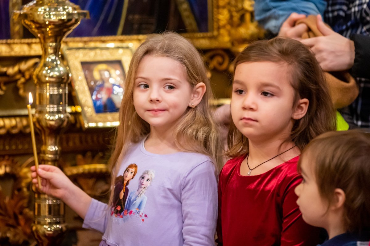 „Recunoștința reprezintă firescul demnității omului” 137479