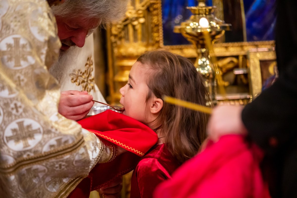 „Recunoștința reprezintă firescul demnității omului” 137480