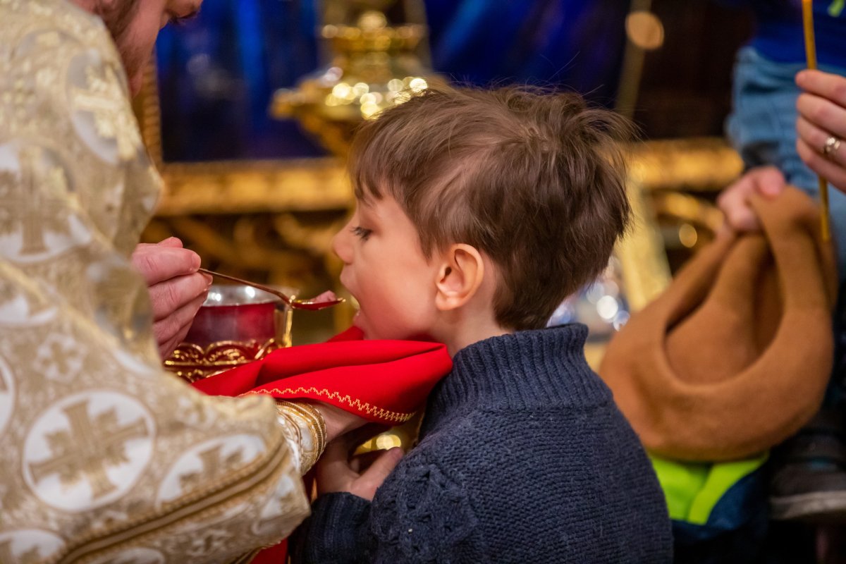 „Recunoștința reprezintă firescul demnității omului” 137481