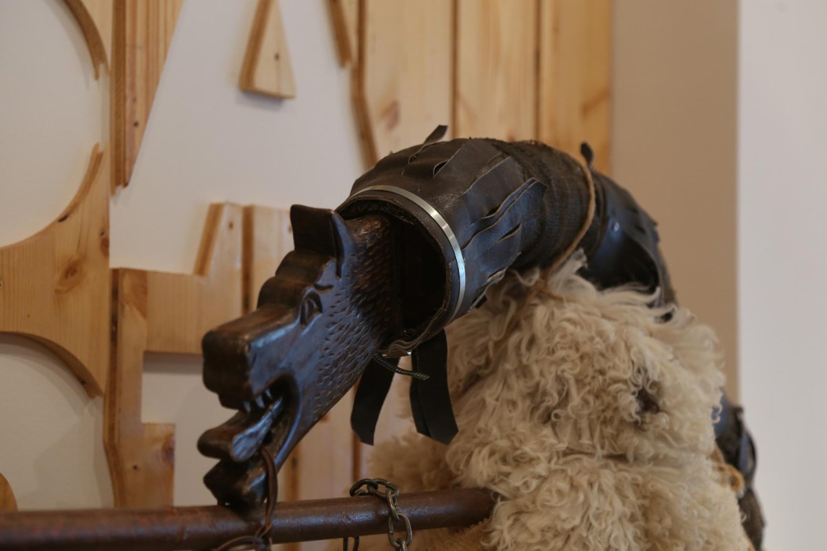 Alexandru Ilinca, meșterul popular itinerant 137557