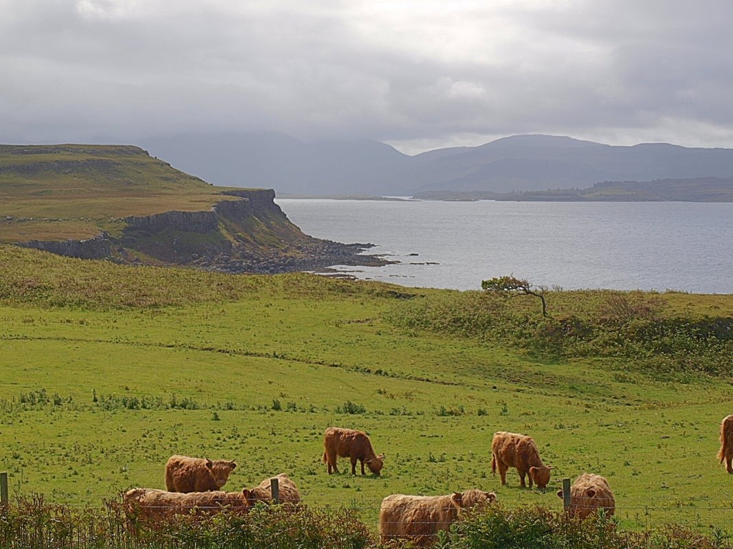 „Să nu fugim de lucrurile care ne aduc bucurie!” 137520