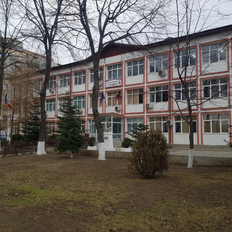 Domnul Creangă, învățătorul copiilor 138038