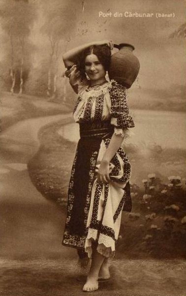 Țăranii scriitori și gazetari din Banat  138076